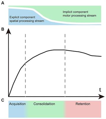 The effect of reward on motor learning: different stage, different effect